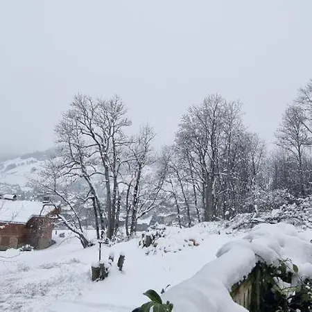Apartment A Avec Jardin Megeve