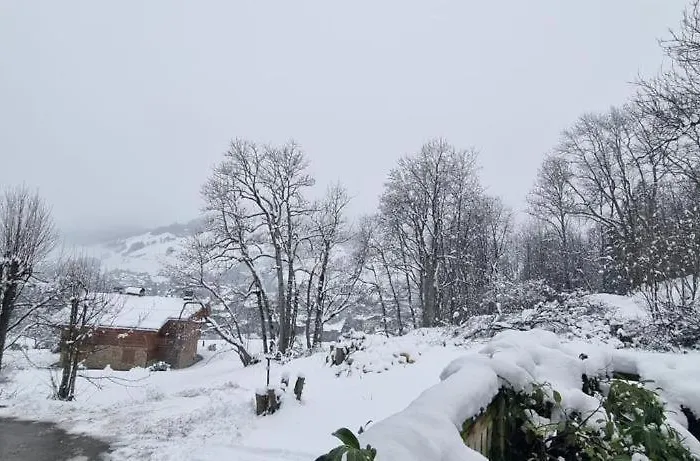 Daire A Avec Jardin Megève