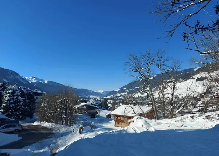 A Avec Jardin Apartment Megève